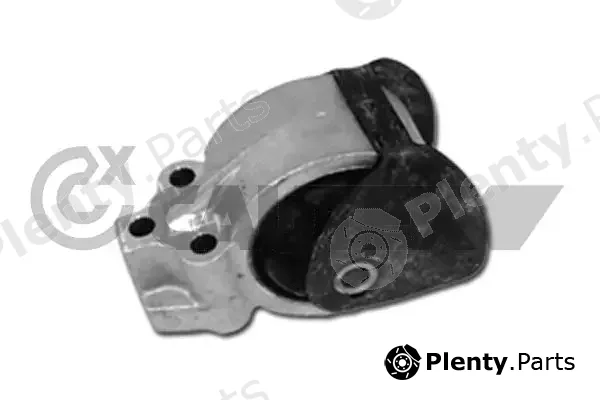 Cautex 250053 — Mounting, engine