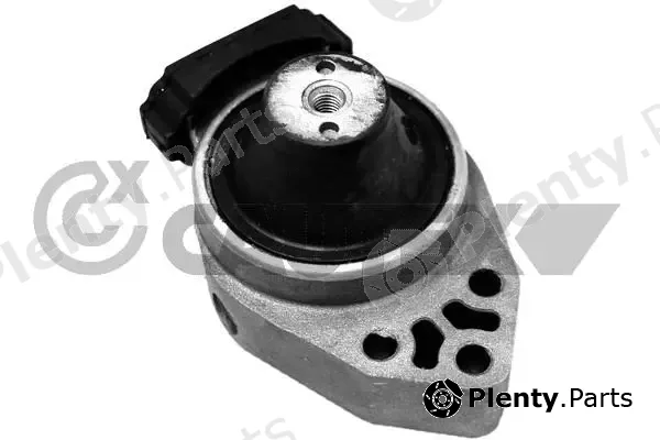 Cautex 756496 — Mounting, engine