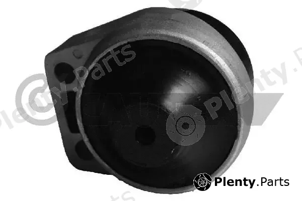 Cautex 756022 — Mounting, engine