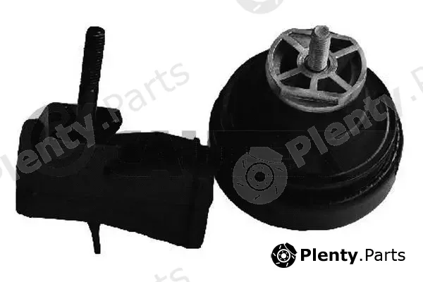 Cautex 461067 — Mounting, engine