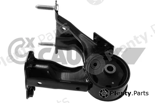 Cautex 766834 — Mounting, engine