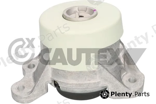 Cautex 776424 — Mounting, engine
