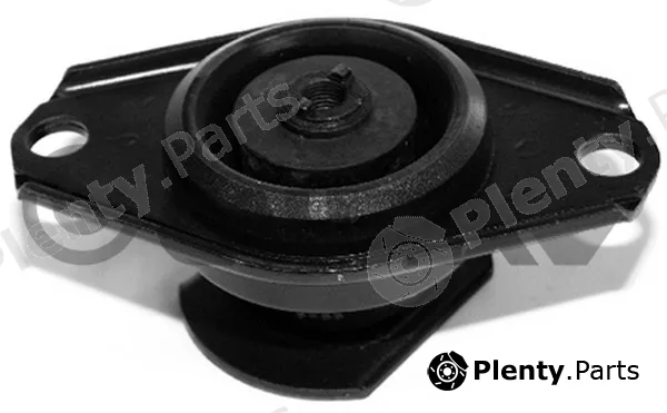 Cautex 756102 — Mounting, engine