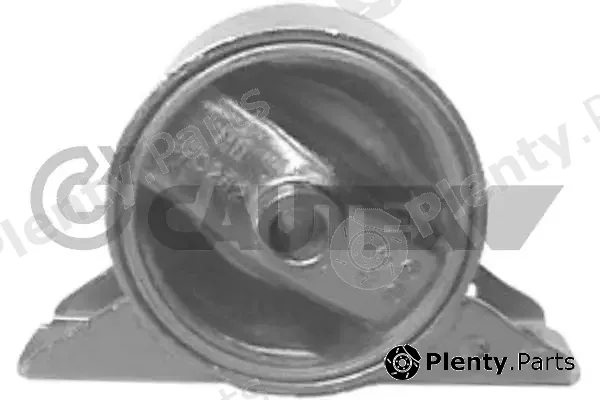 Cautex 760834 — Mounting, engine
