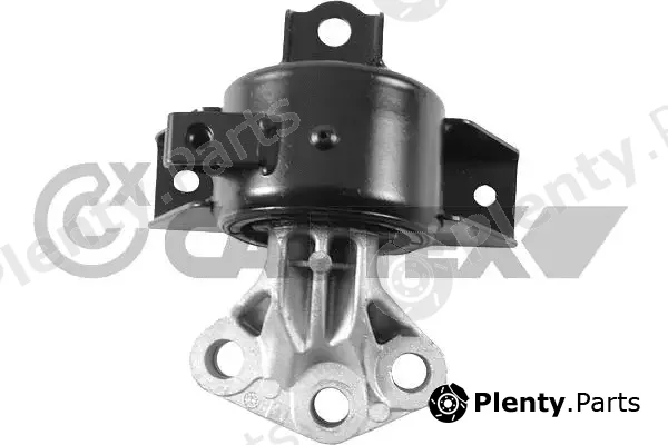 Cautex 771159 — Mounting, engine