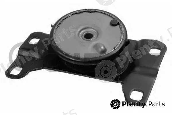 Cautex 775343 — Mounting, engine