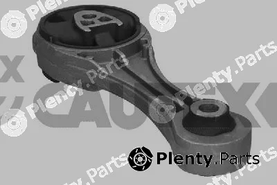 Cautex 021287 — Mounting, engine
