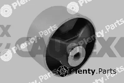Cautex 773491 — Mounting, control/trailing arm