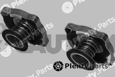 Cautex 954076 — Cap, radiator