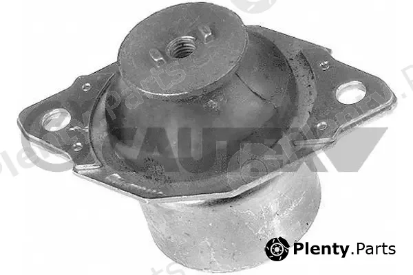 Cautex 460033 — Mounting, engine
