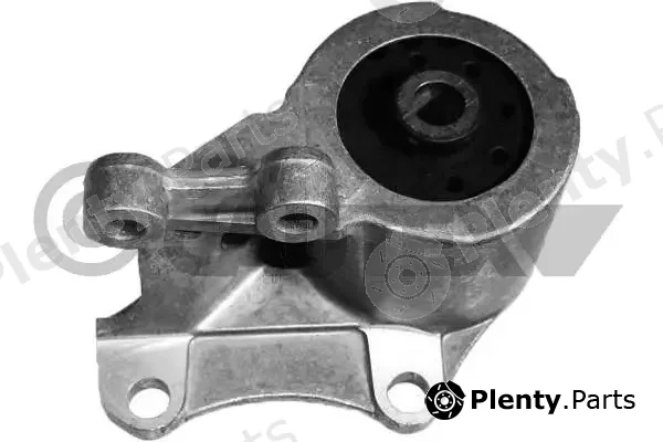 Cautex 767505 — Mounting, engine