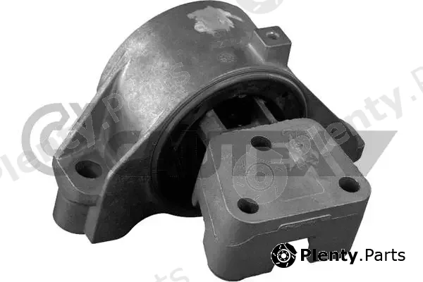 Cautex 756546 — Mounting, engine