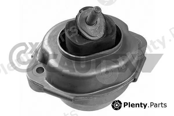 Cautex 201643 — Mounting, engine