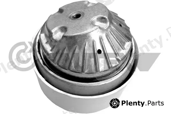 Cautex 181091 — Mounting, engine