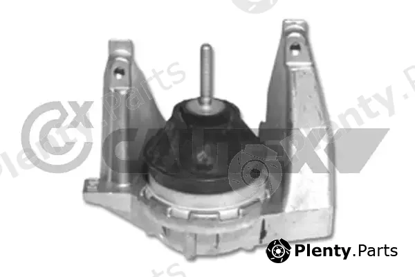 Cautex 461134 — Mounting, engine