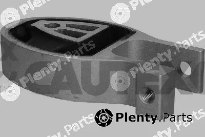 Cautex 775914 — Mounting, engine