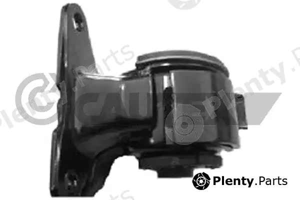 Cautex 767278 — Mounting, engine