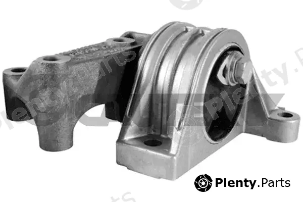 Cautex 771602 — Mounting, engine