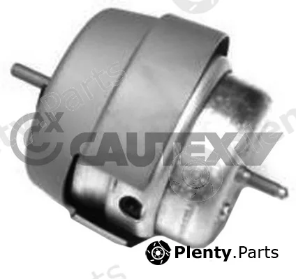 Cautex 756279 — Mounting, engine