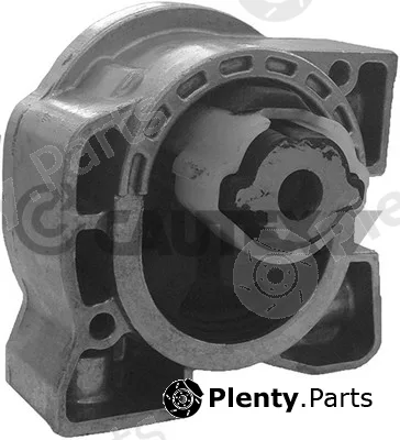Cautex 181151 — Mounting, engine