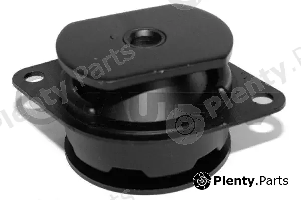 Cautex 756125 — Mounting, engine