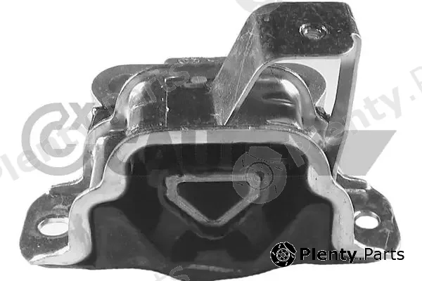 Cautex 756196 — Mounting, engine