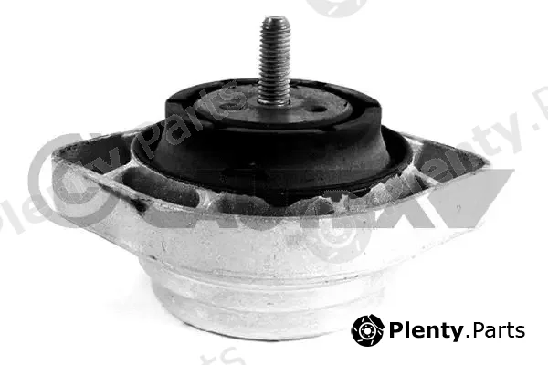 Cautex 756160 — Mounting, engine