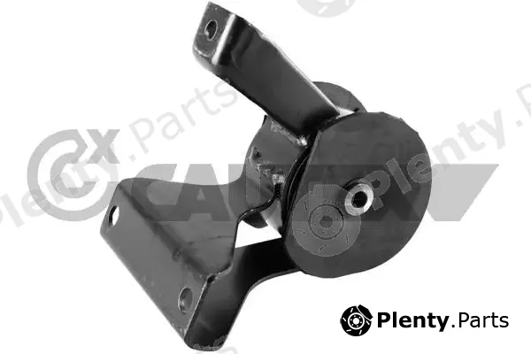 Cautex 756324 — Mounting, engine