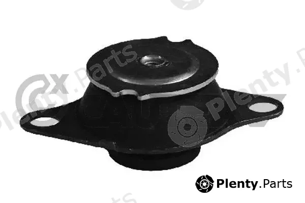Cautex 011062 — Mounting, engine