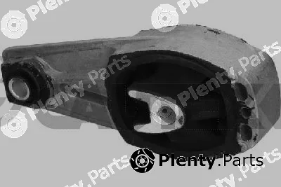 Cautex 031508 — Mounting, engine