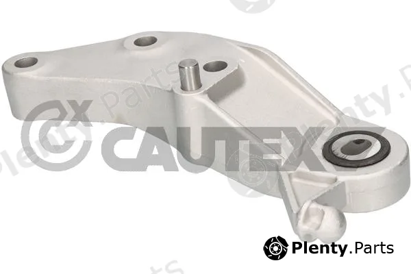 Cautex 776574 — Mounting, engine