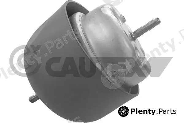 Cautex 460905 — Mounting, engine