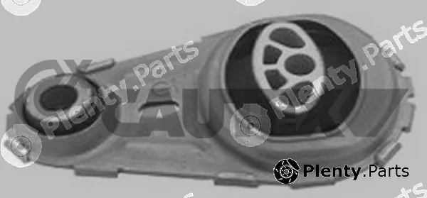 Cautex 756243 — Mounting, engine