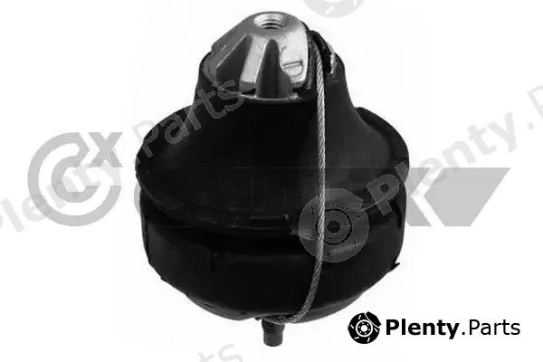 Cautex 775428 — Mounting, engine
