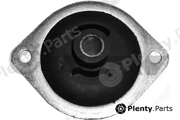 Cautex 010404 — Mounting, engine