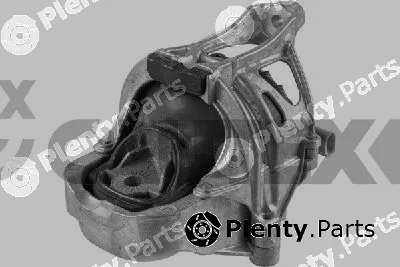 Cautex 775989 — Mounting, engine