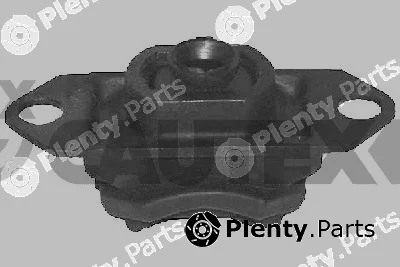 Cautex 021087 — Mounting, engine