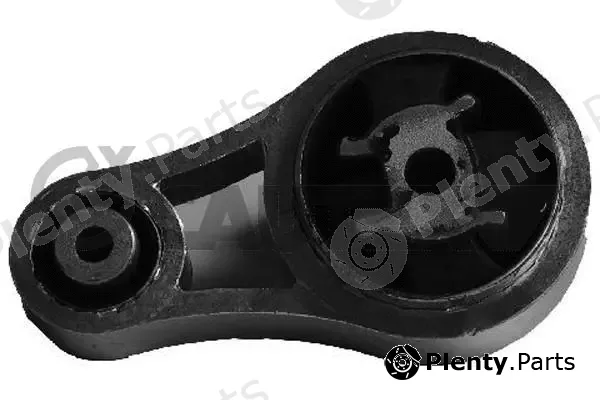 Cautex 755996 — Mounting, engine
