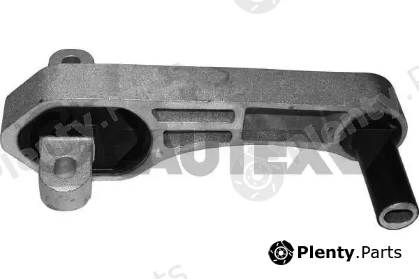 Cautex 031509 — Mounting, engine