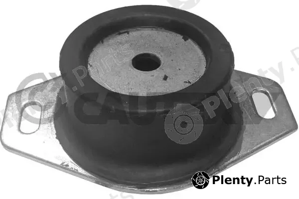 Cautex 030301 — Mounting, engine