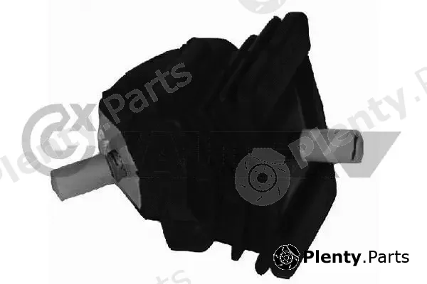 Cautex 081047 — Mounting, engine