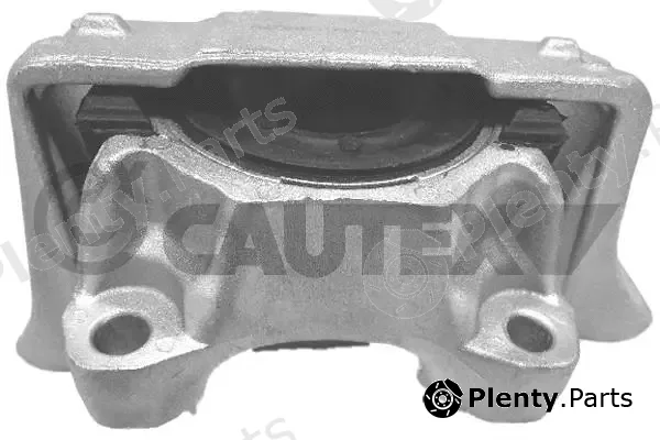 Cautex 081264 — Mounting, engine