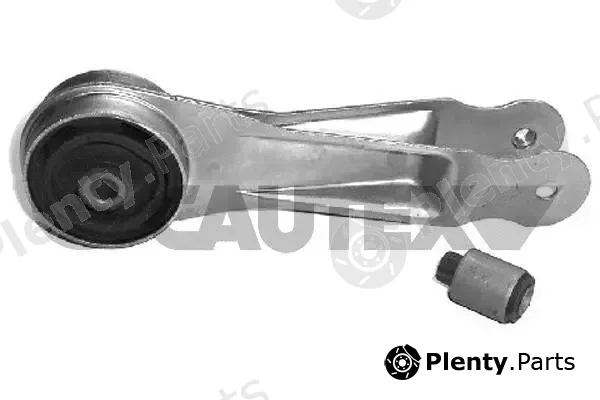 Cautex 021397 — Mounting, engine