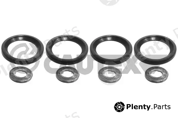 Cautex 011267 — Seal Ring, nozzle holder