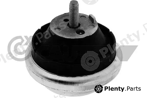 Cautex 774283 — Mounting, engine