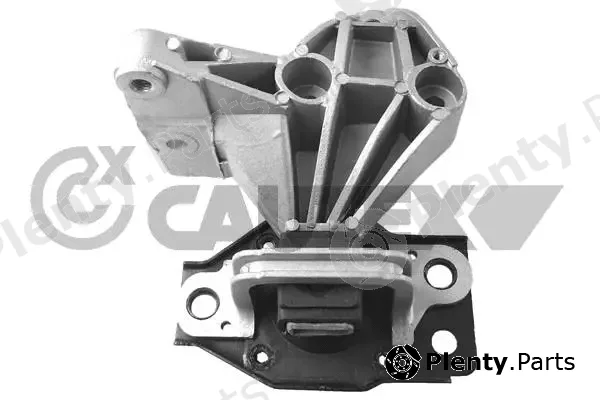 Cautex 756190 — Mounting, engine