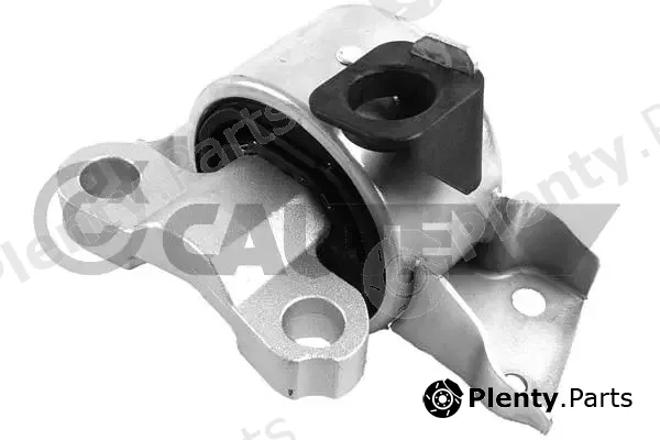 Cautex 760588 — Mounting, engine