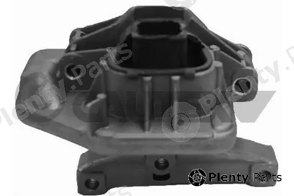 Cautex 756004 — Mounting, engine