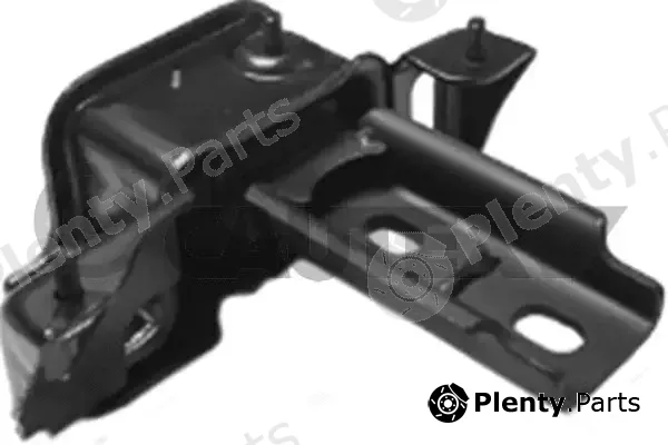 Cautex 761980 — Mounting, engine