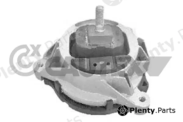 Cautex 770939 — Mounting, engine